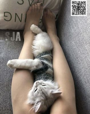 渴望城市电影在线看_剧情片神马影院在线